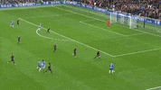 Soccer Futbol GIF by Brighton & Hove Albion Football Club