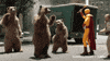 bear GIF