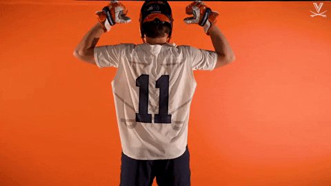 Uvamenslax GIF by Virginia Athletics