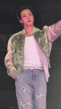 World Tour Jin GIF