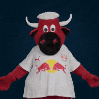 Football Sport GIF by FC Red Bull Salzburg
