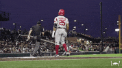 Home Run Baseball GIF by Arkansas Razorbacks