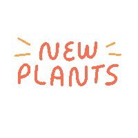stuffhollywood new plants stuff restock Sticker