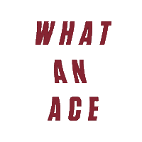 Sc Ace Sticker by Santa Clara Broncos
