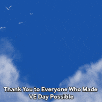 Lest We Forget Victory GIF by TeaCosyFolk