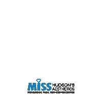 Hudson Sticker by Miss Hudson's Aesthetics