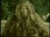 Bigfoot GIF