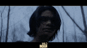 Indigenous People Vertigo Releasing GIF by Fetch