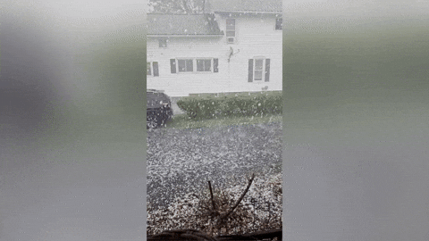 7NewsWKBW giphyupload new york hail warsaw GIF
