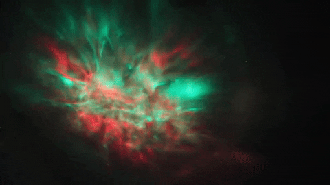 tigtigmedia giphygifmaker GIF