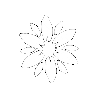 kindnessnorth flower kindness white flower flower white Sticker