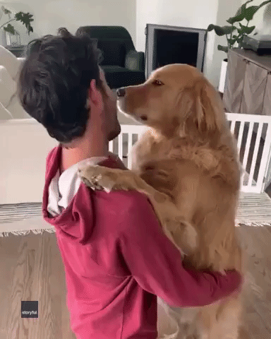 Golden Retriever Gives His Owner a Tender Hug