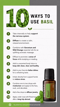 Focus Relaxation GIF by Root Cause Wellness