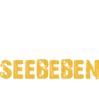 SEEBEBEN music party festival handball Sticker