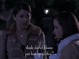 season 4 netflix GIF by Gilmore Girls 