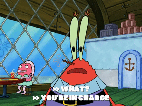 season 6 gullible pants GIF by SpongeBob SquarePants