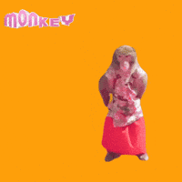 Fun Monkey GIF