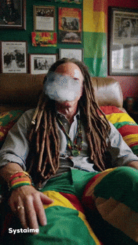 Rasta GIF by systaime