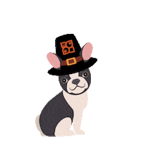 Dog Sticker by Petland Florida