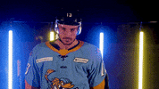 Mitchell Heard Hockey GIF by Toledo Walleye