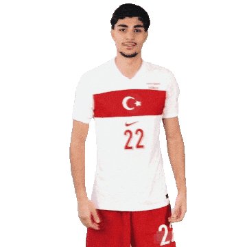 Ay Yildiz Sticker by Kaan Ayhan