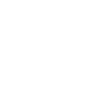 Stars Turtle Sticker by Terraza Isla de Mar