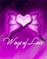 wings GIF