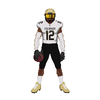 College Football Sticker by SportsManias