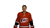 Sebastian Aho Nhl Sticker by Carolina Hurricanes