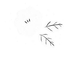 25na white flower flowers kid Sticker