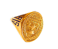 Alumna Sticker by Agnes Irwin
