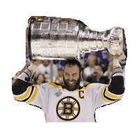 hockey bruins STICKER by imoji