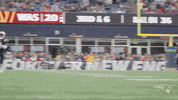 Nfl Pats GIF by New England Patriots