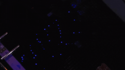 AnnieBonny giphyupload GIF