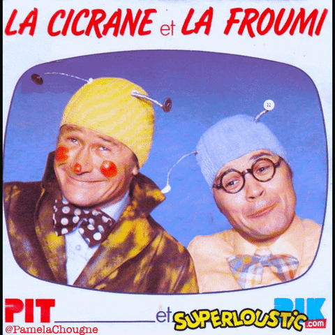 La Cicrane Et La Froumi Pamela Chougne GIF