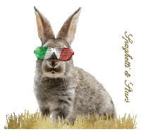 Bunny Italy Sticker by Spaghetti & Stars