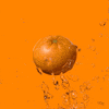 orange fruit citrus GIF