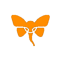 noabeachclub butterfly noa zrce zrce beach Sticker