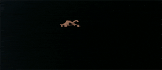 pink floyd GIF by Maudit