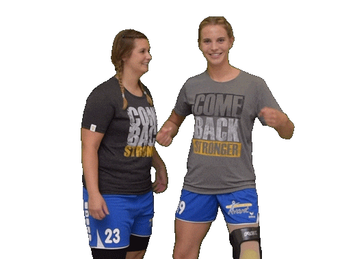 Sport Handball Sticker by ATSV Habenhausen