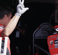 DucatiMotor bike race moto motogp GIF