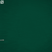 Msu Spartans GIF by Michigan State Athletics