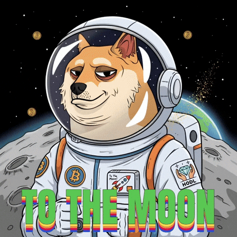 To The Moon Space GIF by Doge Pound