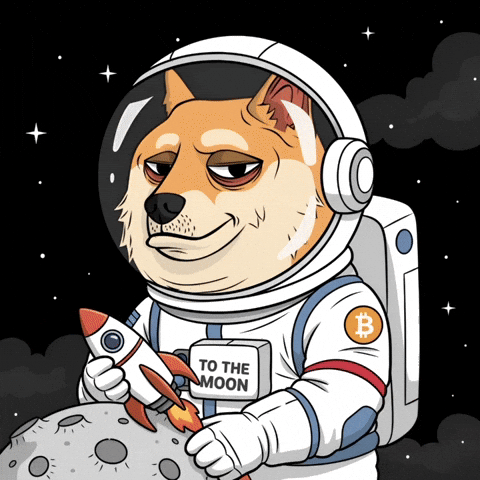 To The Moon Space GIF by Doge Pound