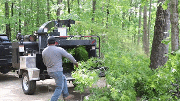 Wood Chipper GIF by JC Property Professionals