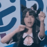 Cat Japan GIF