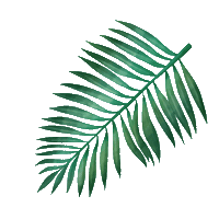 Plant Decor Sticker by Trakto
