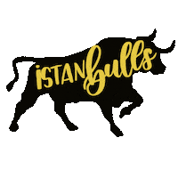 Laluz Istanbulspor Sticker