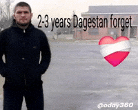 Ufc Mma GIF