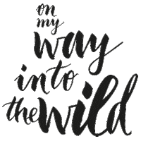 Onmywayintothewild Sticker by GUTSANDLOVE